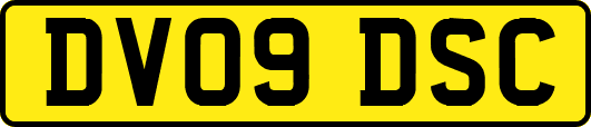 DV09DSC