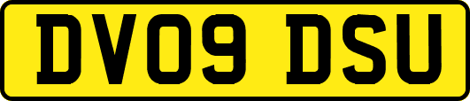 DV09DSU