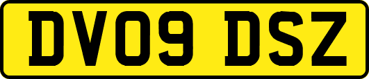 DV09DSZ