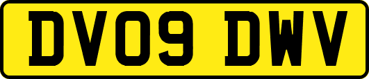 DV09DWV