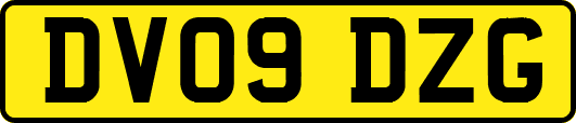 DV09DZG