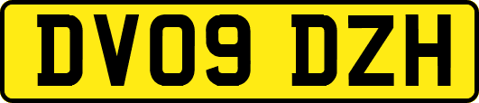 DV09DZH