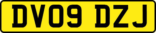 DV09DZJ