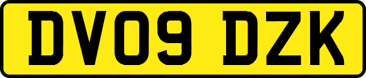 DV09DZK