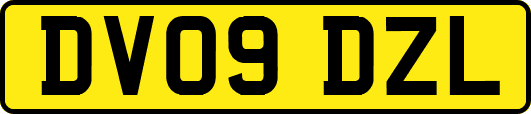 DV09DZL