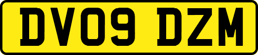 DV09DZM