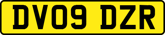 DV09DZR