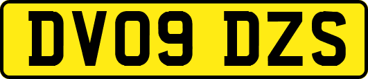 DV09DZS