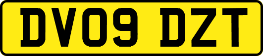 DV09DZT