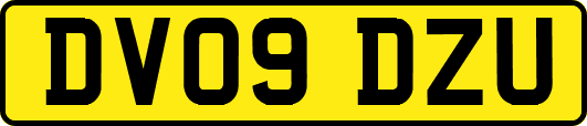 DV09DZU