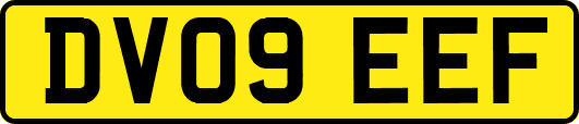 DV09EEF