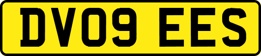 DV09EES