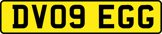 DV09EGG