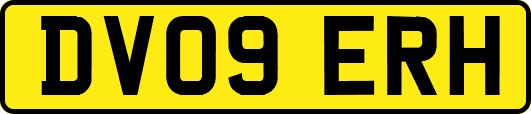 DV09ERH