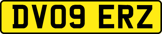 DV09ERZ