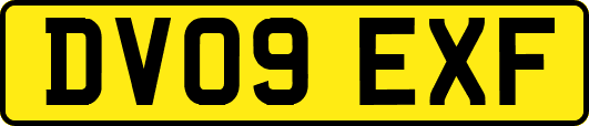 DV09EXF