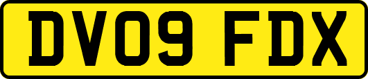 DV09FDX