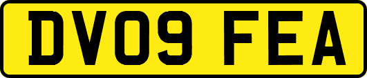 DV09FEA