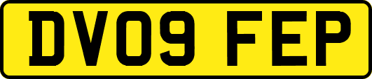 DV09FEP