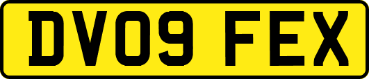 DV09FEX