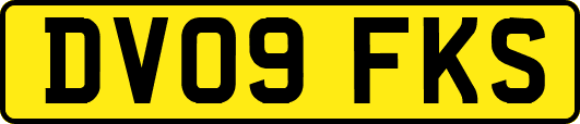DV09FKS