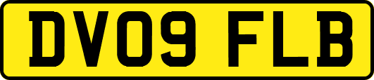 DV09FLB