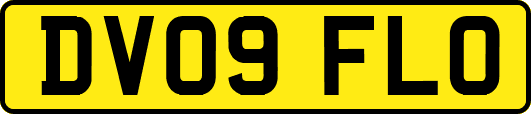 DV09FLO