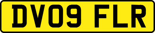 DV09FLR