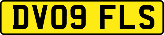 DV09FLS