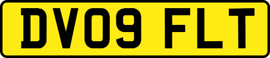 DV09FLT