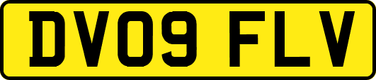 DV09FLV