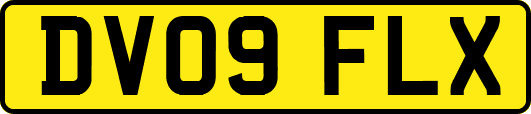 DV09FLX
