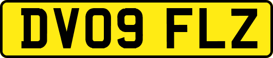 DV09FLZ