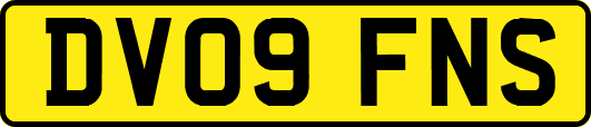 DV09FNS
