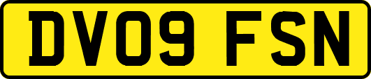DV09FSN