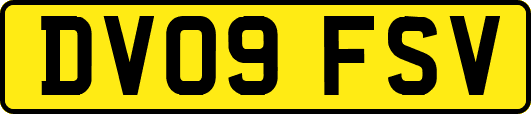 DV09FSV