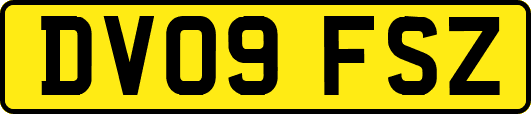 DV09FSZ