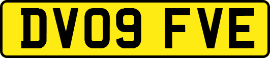 DV09FVE