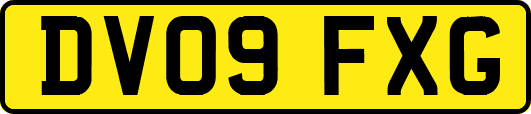 DV09FXG