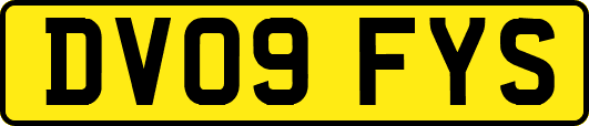 DV09FYS