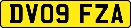 DV09FZA
