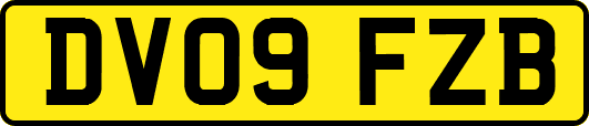DV09FZB
