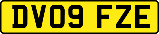 DV09FZE