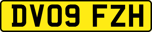 DV09FZH