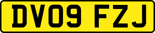 DV09FZJ