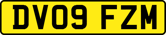 DV09FZM