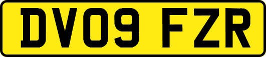 DV09FZR