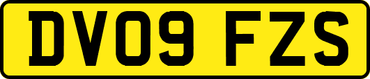 DV09FZS