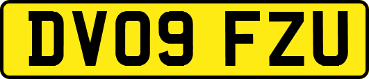 DV09FZU