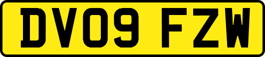 DV09FZW